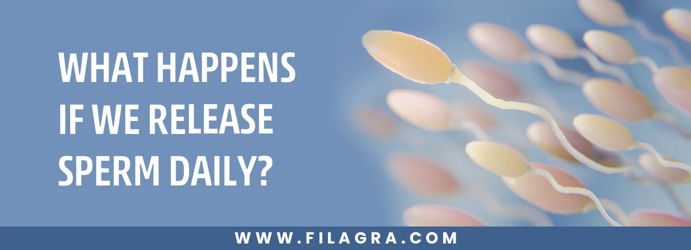 What Happens If We Release Sperm Daily